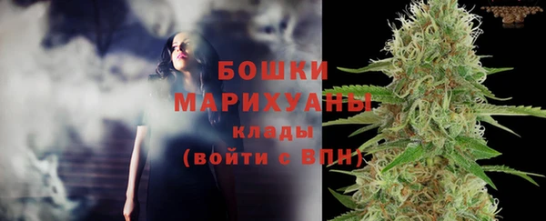 стаф Няндома