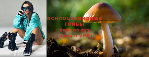 стаф Няндома