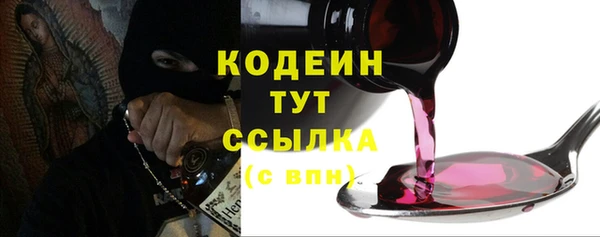 стаф Няндома