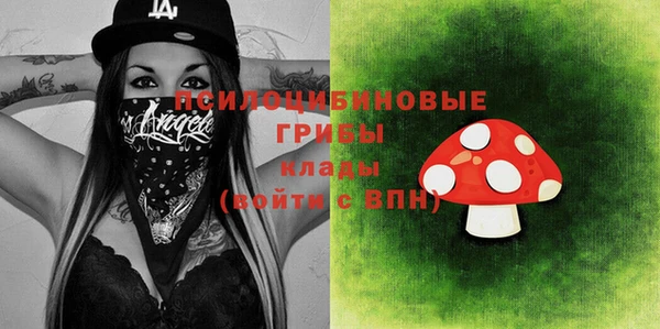стаф Няндома