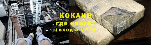 стаф Няндома