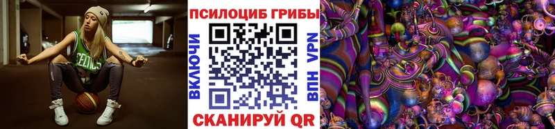 kraken   где продают наркотики  Шарыпово  Псилоцибиновые грибы Cubensis 