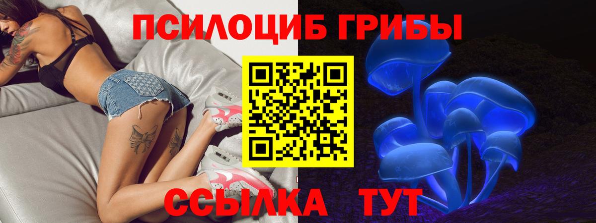 Галлюциногенные грибы GOLDEN TEACHER  Вход с VPN  Шарыпово 